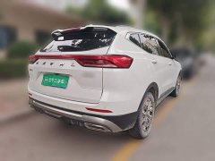 Haval H6 National Trend Edition 1.5T Automatic Urban Version - ფოტო 6