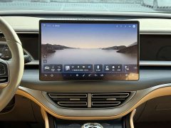 Denza D9 DM-i 970 AWD Flagship - ფოტო 11