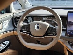 Denza D9 DM-i 970 AWD Flagship - ფოტო 13