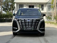 Denza D9 DM-i 970 AWD Flagship - ფოტო 2
