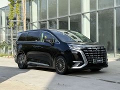 Denza D9 DM-i 970 AWD Flagship - ფოტო 3