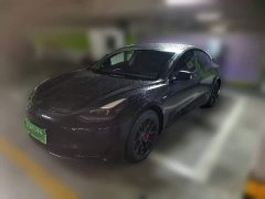 Tesla Model 3 Rear-Wheel Drive - ფოტო 1