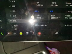 Tesla Model 3 Rear-Wheel Drive - ფოტო 13