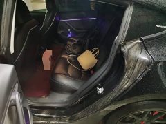 Tesla Model 3 Rear-Wheel Drive - ფოტო 18