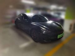 Tesla Model 3 Rear-Wheel Drive - ფოტო 3