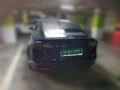 Tesla Model 3 Rear-Wheel Drive - ფოტო 5