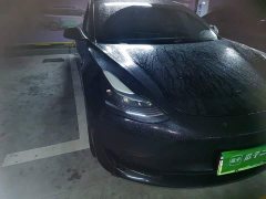 Tesla Model 3 Rear-Wheel Drive - ფოტო 7