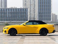 Ford Mustang 2.3T EcoBoost Convertible Sport - ფოტო 10