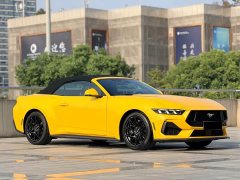 Ford Mustang 2.3T EcoBoost Convertible Sport - ფოტო 14