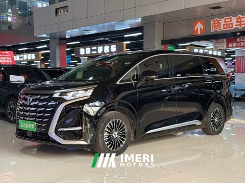 2024 Denza D9 DM-i 1050 Premium - ავტომობილი ჩინეთიდან