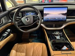 Denza D9 DM-i 1050 Premium - ფოტო 12