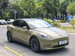 Tesla Model Y Performance All-Wheel Drive - ფოტო 3