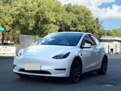 Tesla Model Y Performance All-Wheel Drive - ფოტო 1
