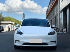 Tesla Model Y Performance All-Wheel Drive - ფოტო 2