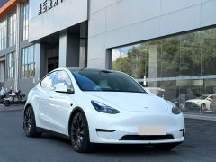 Tesla Model Y Performance All-Wheel Drive - ფოტო 3