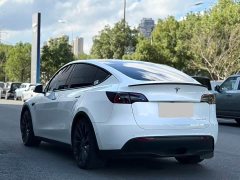 Tesla Model Y Performance All-Wheel Drive - ფოტო 7