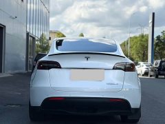 Tesla Model Y Performance All-Wheel Drive - ფოტო 8