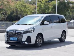 Buick GL8 Land Business Class Comfort Edition - ფოტო 1