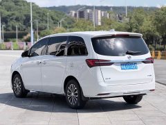 Buick GL8 Land Business Class Comfort Edition - ფოტო 6