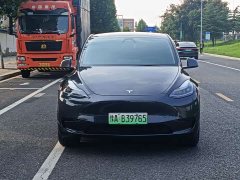Tesla Model Y Rear-Wheel Drive - ფოტო 2