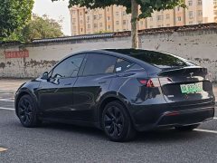 Tesla Model Y Rear-Wheel Drive - ფოტო 8