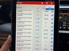 SAIC Clever 311km Vitality Pop Edition - ფოტო 19