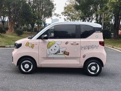 Wuling Hongguang MINIEV Macaron Fashion Edition LFP Battery - ფოტო 8
