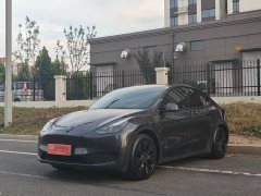 Tesla Model Y Rear-Wheel Drive - ფოტო 1