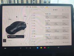 Tesla Model Y Rear-Wheel Drive - ფოტო 10