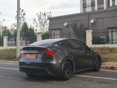 Tesla Model Y Rear-Wheel Drive - ფოტო 14