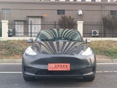 Tesla Model Y Rear-Wheel Drive - ფოტო 2