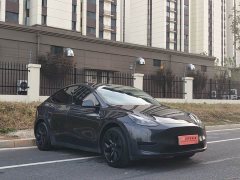 Tesla Model Y Rear-Wheel Drive - ფოტო 3