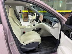 Geely Xing Yuan 310km Dream Edition - ფოტო 10