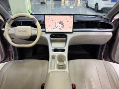 Geely Xing Yuan 310km Dream Edition - ფოტო 11