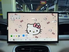 Geely Xing Yuan 310km Dream Edition - ფოტო 14