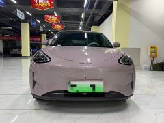 Geely Xing Yuan 310km Dream Edition - ფოტო 2