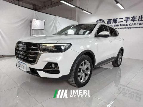 2022 Haval H6 National Trend 1.5T Automatic Champion Edition - ავტომობილი ჩინეთიდან