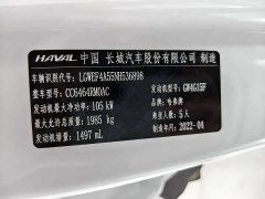 Haval H6 National Trend 1.5T Automatic Champion Edition - ფოტო 18