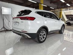 Haval H6 National Trend 1.5T Automatic Champion Edition - ფოტო 6