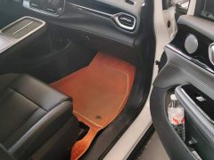 GAC AION V Plus 70 Star Edition LFP - ფოტო 8