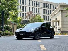 Tesla Model 3 Rear-Wheel Drive - photo 1