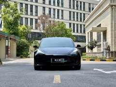 Tesla Model 3 Rear-Wheel Drive - photo 2