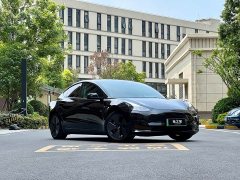 Tesla Model 3 Rear-Wheel Drive - photo 3