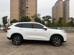 Haval H6 Third Generation 1.5T Automatic Two-Wheel Drive Max - ფოტო 5