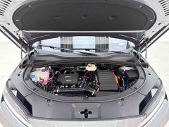 BYD Song Plus New Energy DM-i Intelligent Driving 112KM Premium - ფოტო 9
