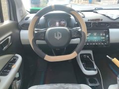 Leapmotor Leapo T03 Radiant Gold Edition - ფოტო 6