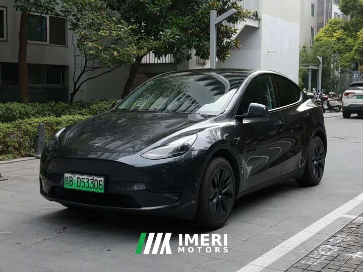 Tesla Model Y Rear-Wheel Drive