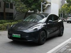 Tesla Model Y Rear-Wheel Drive - ფოტო 1