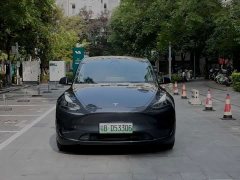 Tesla Model Y Rear-Wheel Drive - ფოტო 2