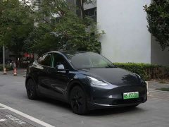 Tesla Model Y Rear-Wheel Drive - ფოტო 3